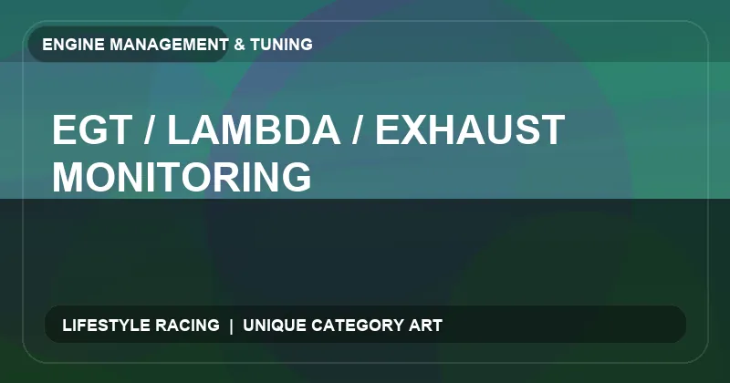 EGT / Lambda / Exhaust Monitoring